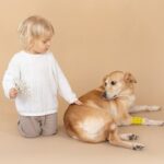 A child kneels beside a dog holding flowers in a studio setting.